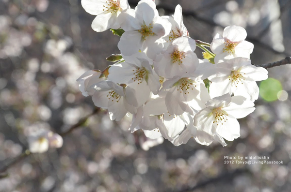 DSC_6378 DSC_6378
