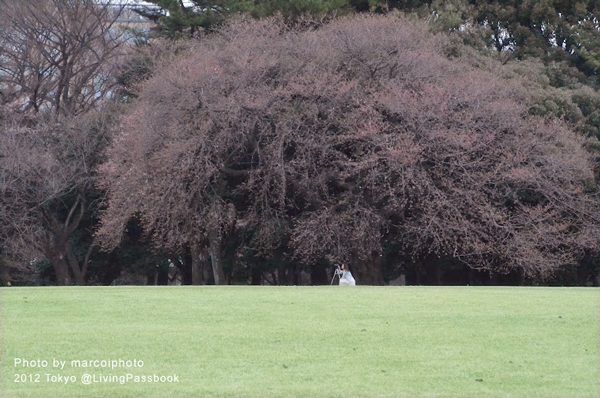 DSC_6663 DSC_6663