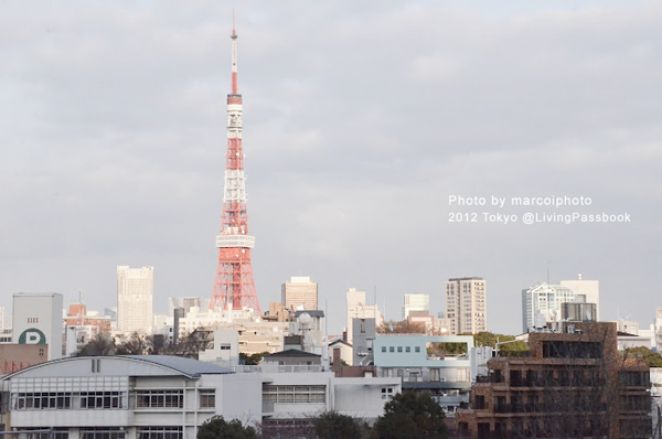 DSC_6427 DSC_6427