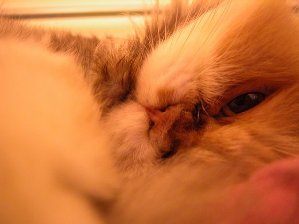 DSCN0022.JPG DSCN0022.JPG