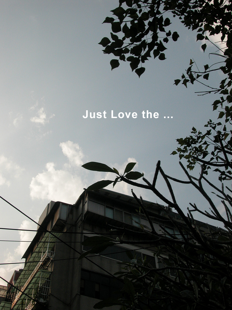 justLovethe.jpg justLovethe.jpg