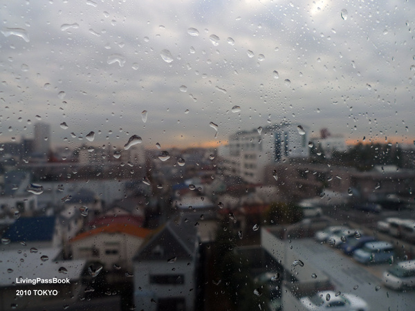 P1030541.jpg P1030541.jpg