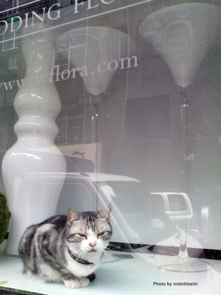 DSC00566.jpg DSC00566.jpg