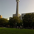 IMG-20110828-00165.jpg