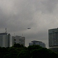 IMG-20110831-00326.jpg