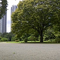 IMG-20110831-00332.jpg