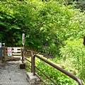 DSC03766_調整大小.JPG