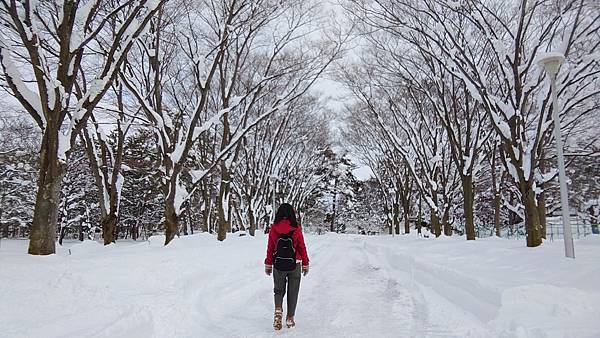 2月10日 青森縣雪見 弘前城雪燈籠祭 夜晚七彩燈火溫暖冷冷的寒冬 V 我是蜜豆莉 V 痞客邦