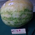 watermelon_01.JPG