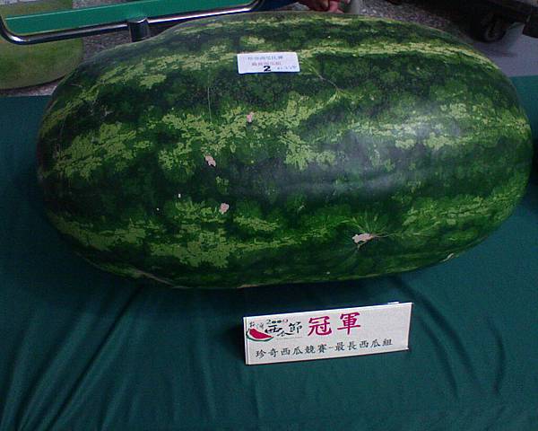 watermelon_02.JPG