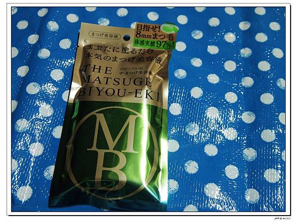 P1093864.jpg P1093864.jpg