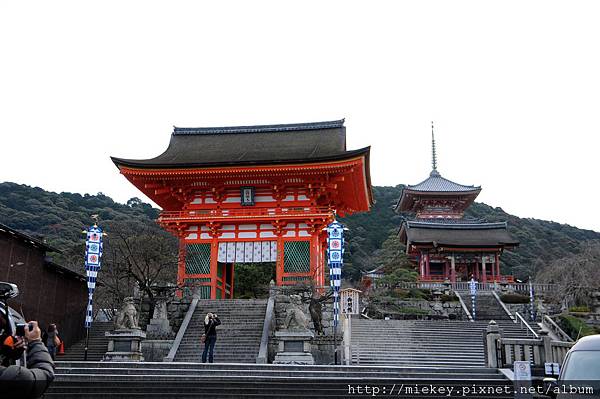 DSC_4175 DSC_4175