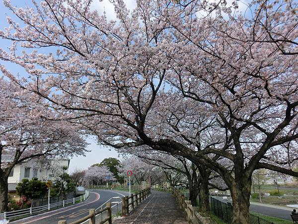 水元公園２