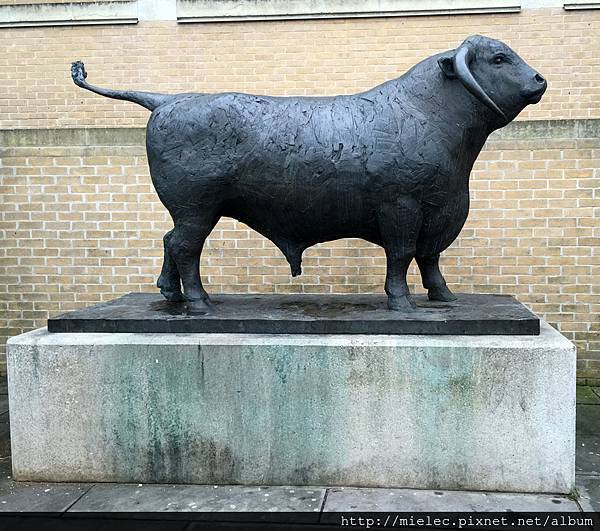 IMG_1080.JPG IMG_1080.JPG