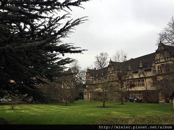 IMG_1151.JPG IMG_1151.JPG