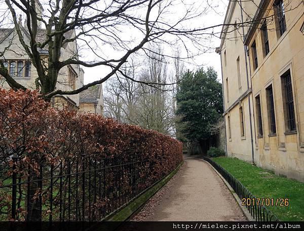 canon303.jpg canon303.jpg