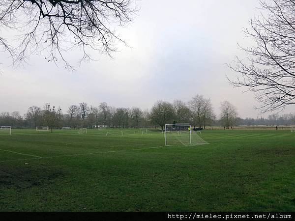 canon305.jpg canon305.jpg