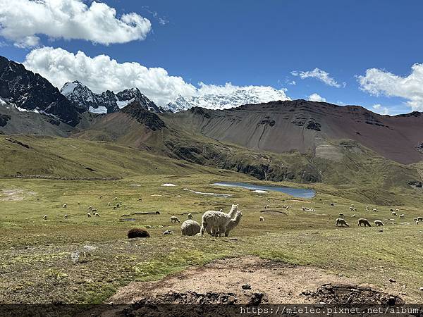 2025_秘魯自由行 Day8_ATV無痛登頂上帝調色盤 2025_秘魯自由行 Day8_ATV無痛登頂上帝調色盤