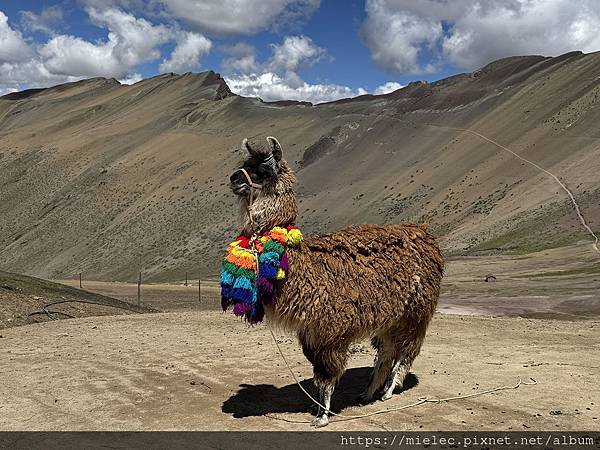 2025_秘魯自由行 Day8_ATV無痛登頂上帝調色盤 2025_秘魯自由行 Day8_ATV無痛登頂上帝調色盤