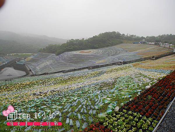 P1000124.JPG