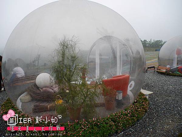 P1000129.JPG