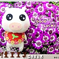 GOOD LUCK!!