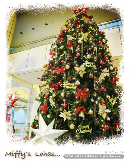 台大醫院聖誕樹！