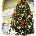台大醫院聖誕樹！