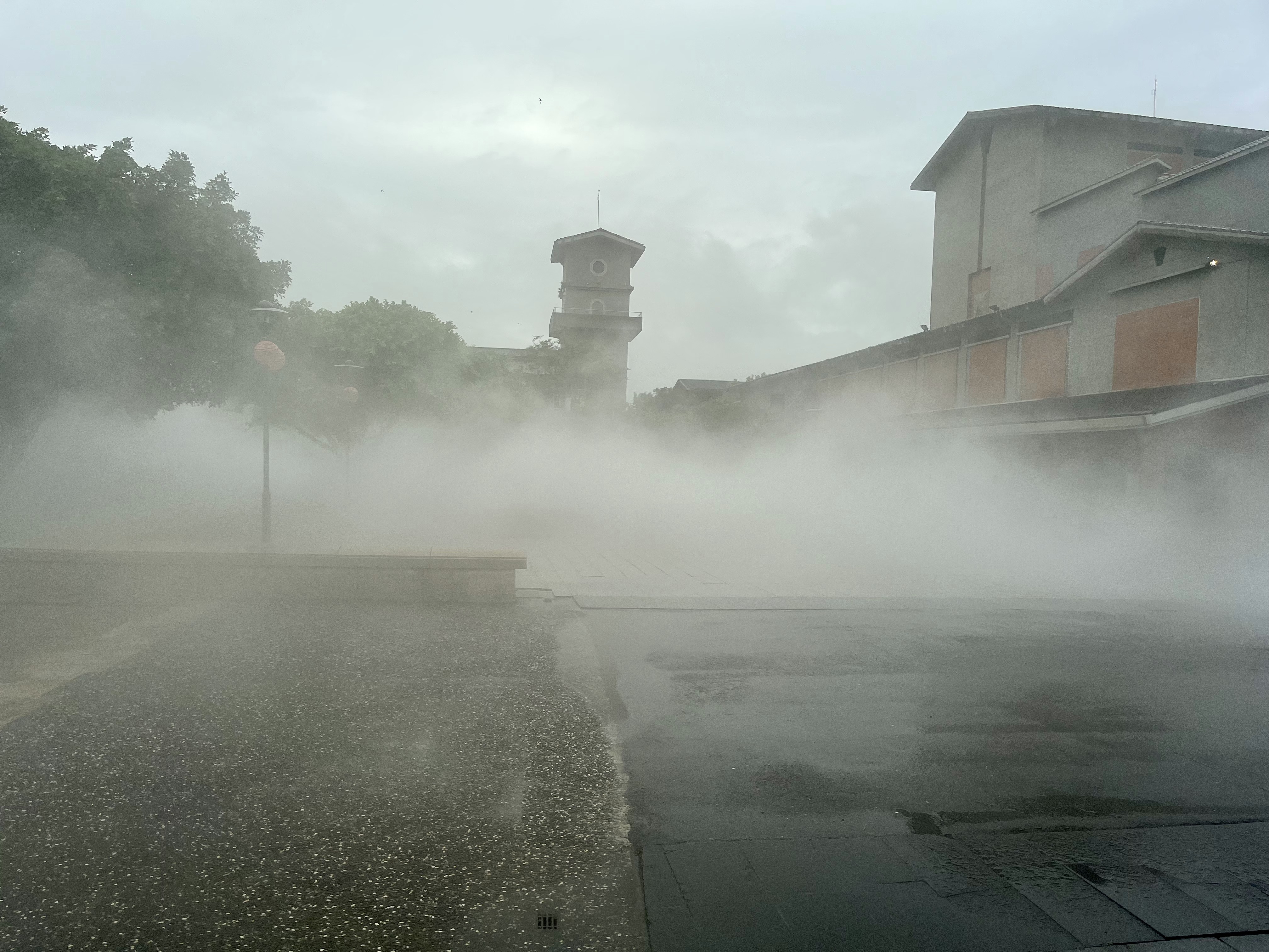 宜蘭傳藝園區內的迷霧森林