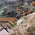 Stairs to the club, Bondi Iceburgs.