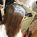 DSCN2847.jpg