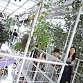 DSCN2210.jpg