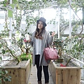 DSCN2212.jpg