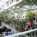 DSCN2224.jpg