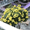 DSCN2231.jpg