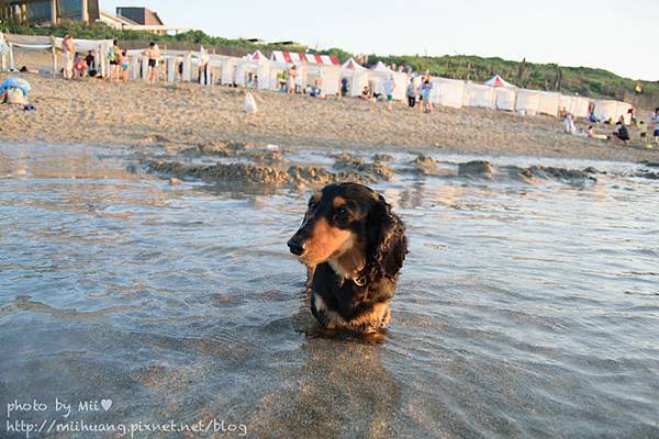 bikini夏日海邊穿搭