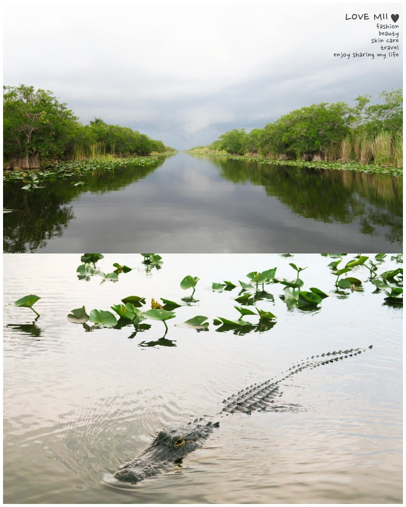 美國自由行 美國自由行