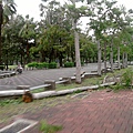 莫拉克颱風之後的小東公園