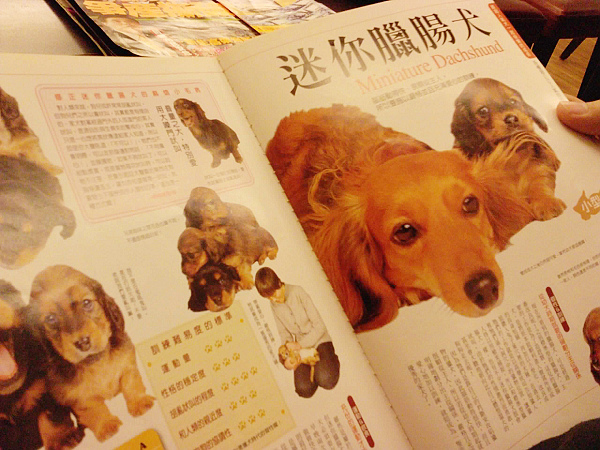 等的時候拿來的雜誌