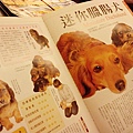 等的時候拿來的雜誌