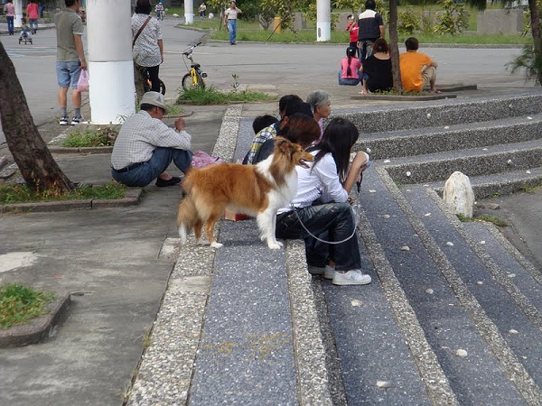 等老爸把車子開過來的時候