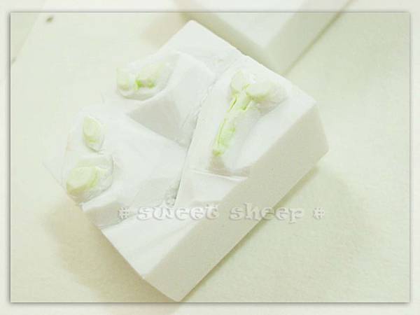 no25小鳥青青_皮章葉