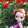 20110313植物園4.jpg