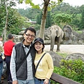 後面是大象，不過不是林旺。