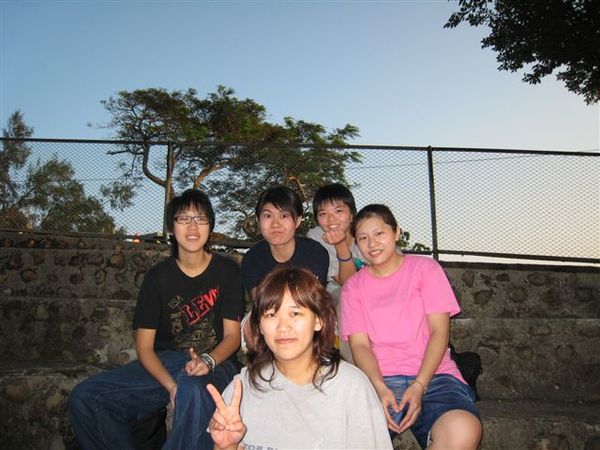 烏龜、西皮