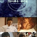  空から降る一億の星