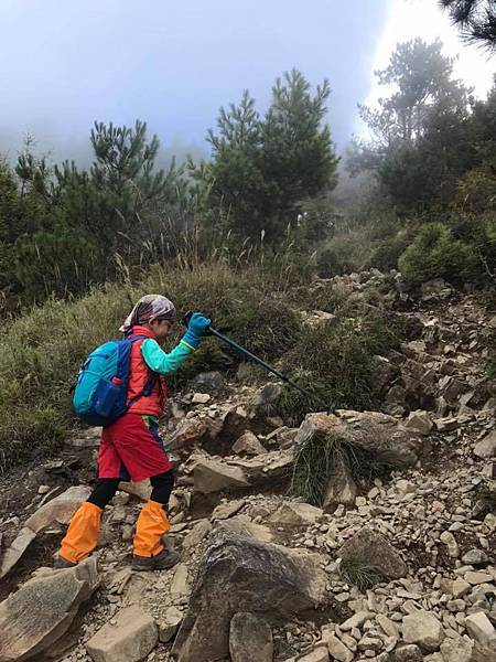 43751563_469147490241440_144299674101088256_n.jpg 43751563_469147490241440_144299674101088256_n.jpg