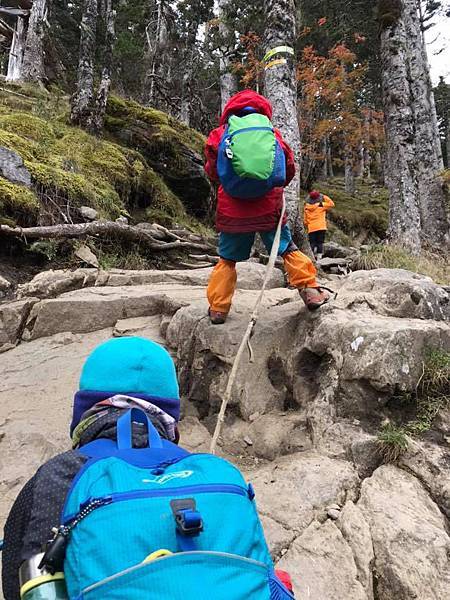 44803241_469147440241445_227128633800523776_n.jpg 44803241_469147440241445_227128633800523776_n.jpg