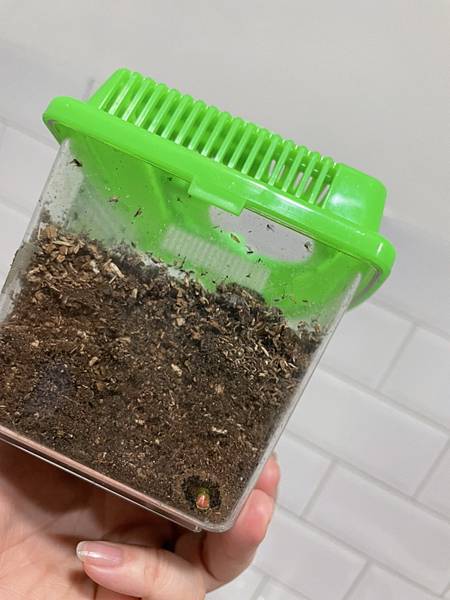 S__35020813.jpg S__35020813.jpg