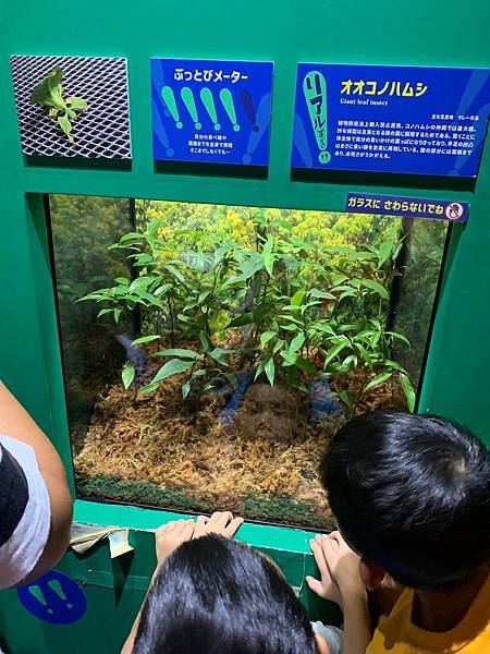 68676889_632957570527097_4232520090718830592_n.jpeg 68676889_632957570527097_4232520090718830592_n.jpeg